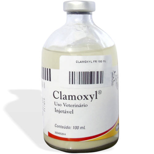 Foto: Clamoxyl Fr 100 ml
