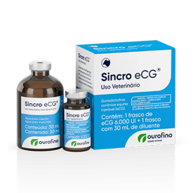Sincro ECG 6000 30 ml